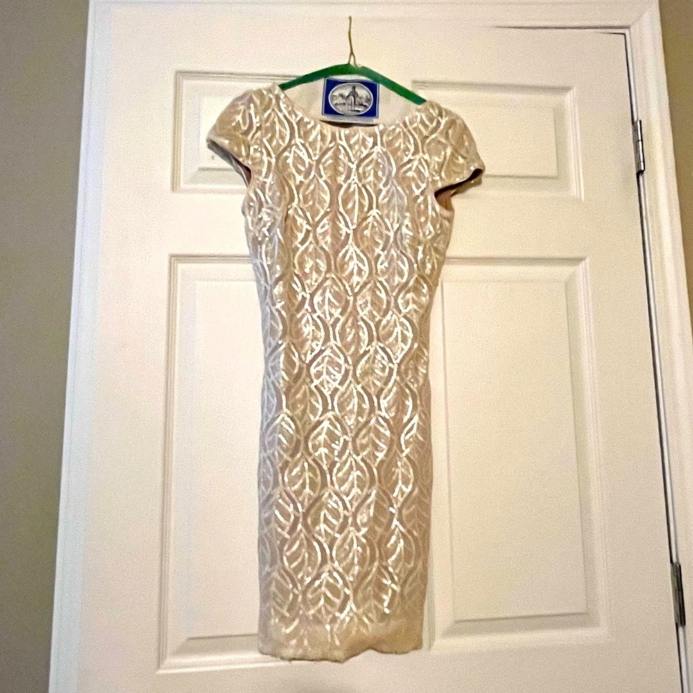 Sequin Mini Dresses - image 1